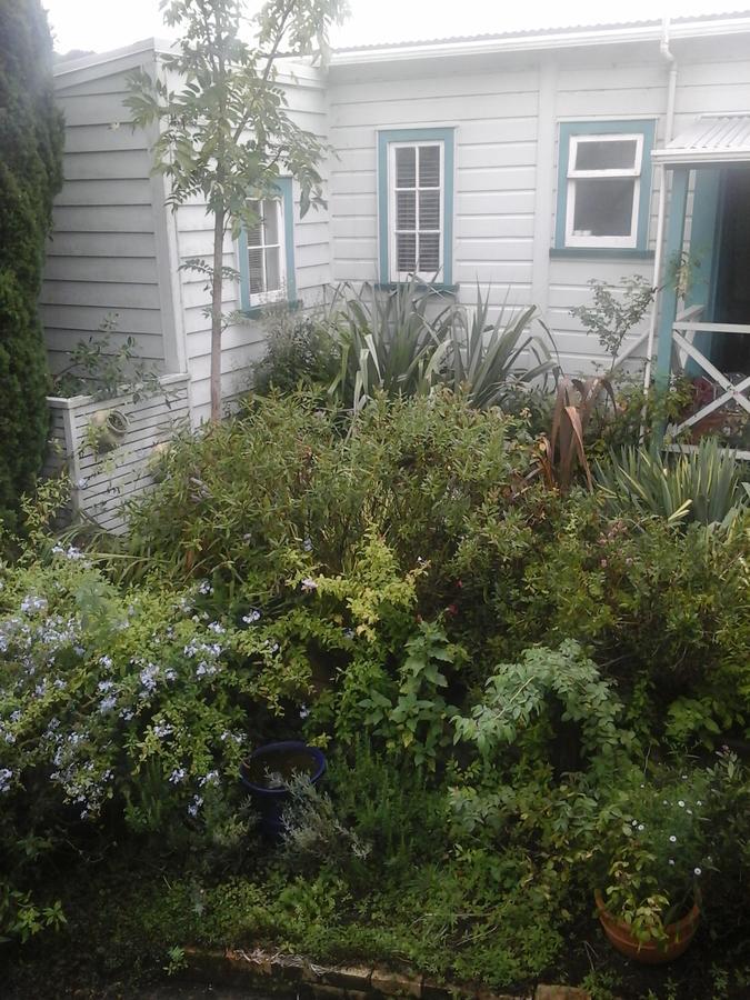 The Old Post Office Guesthouse B&BPaparoa エクステリア 写真